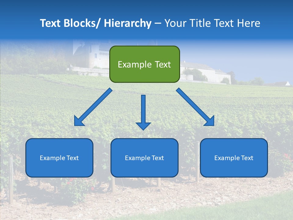 Rose Rully France PowerPoint Template