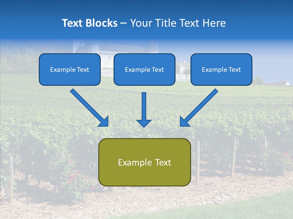 Rose Rully France PowerPoint Template