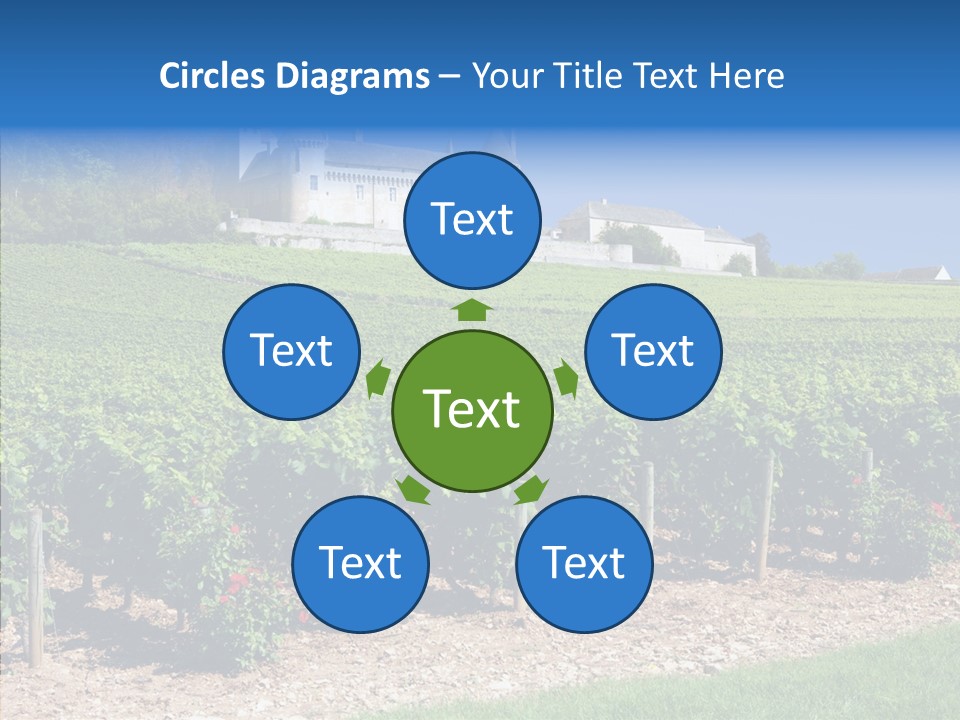 Rose Rully France PowerPoint Template