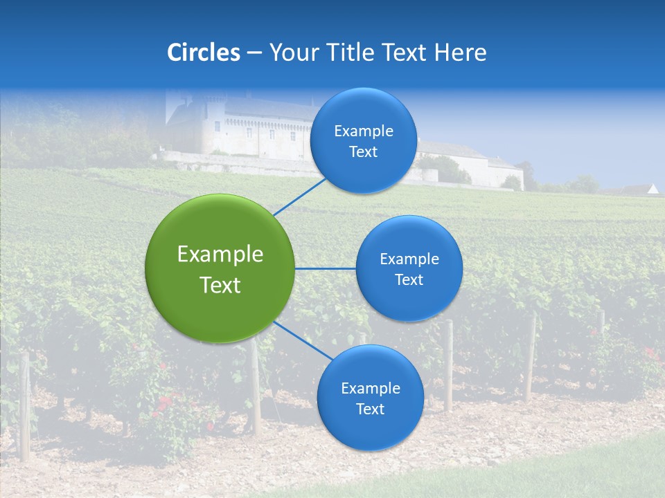 Rose Rully France PowerPoint Template