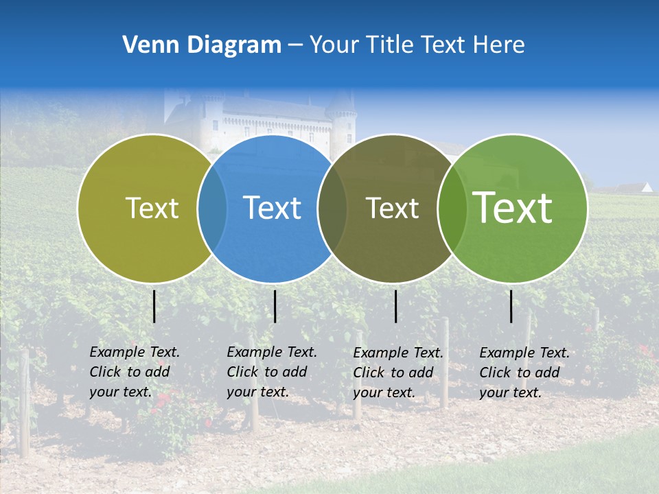 Rose Rully France PowerPoint Template