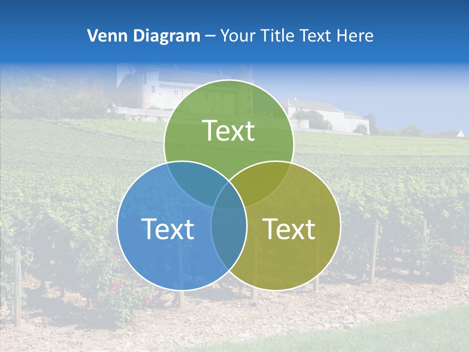 Rose Rully France PowerPoint Template