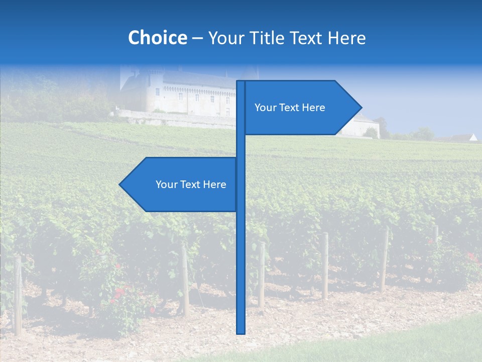 Rose Rully France PowerPoint Template