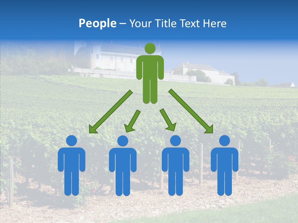 Rose Rully France PowerPoint Template