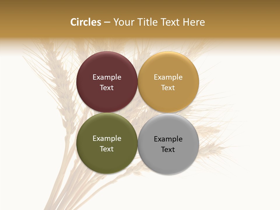 Summer Food Corn PowerPoint Template