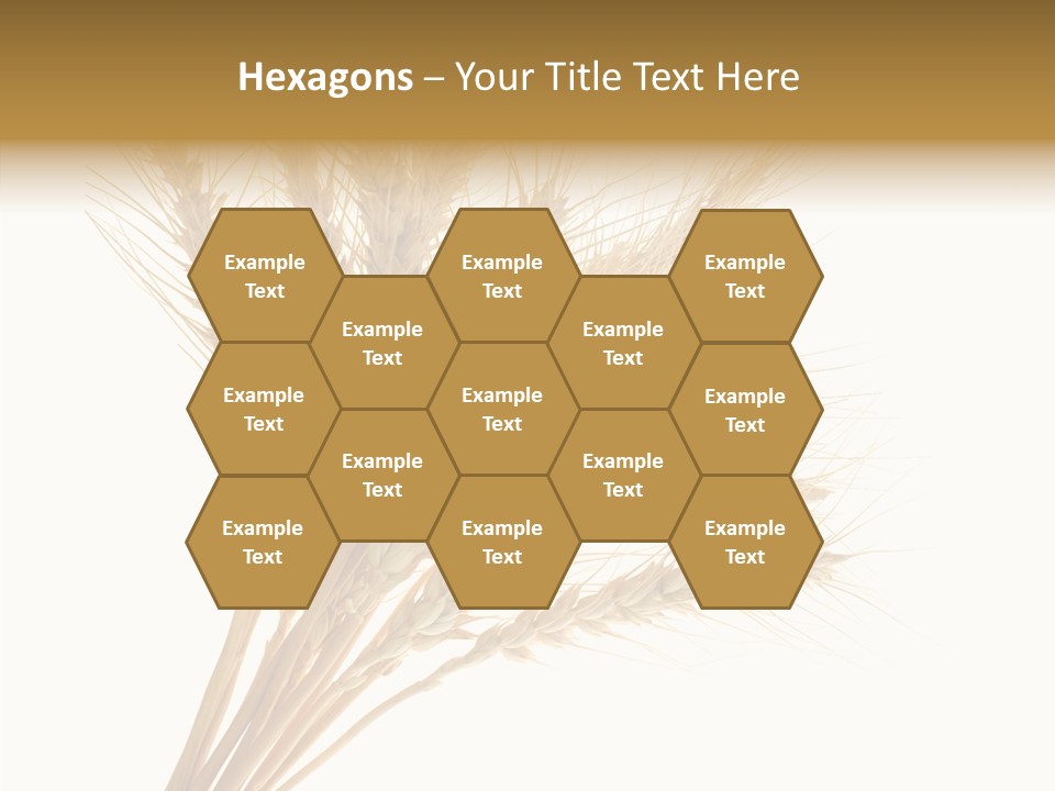 Summer Food Corn PowerPoint Template