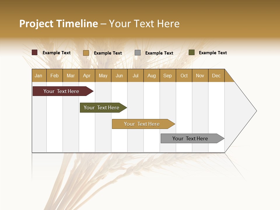Summer Food Corn PowerPoint Template