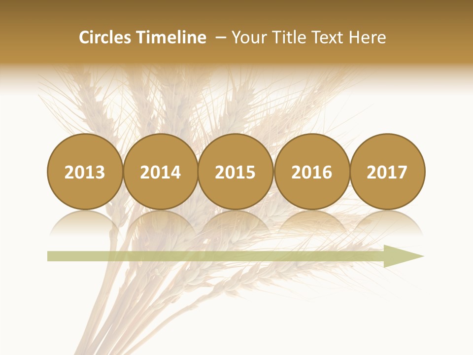 Summer Food Corn PowerPoint Template