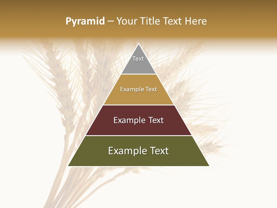 Summer Food Corn PowerPoint Template