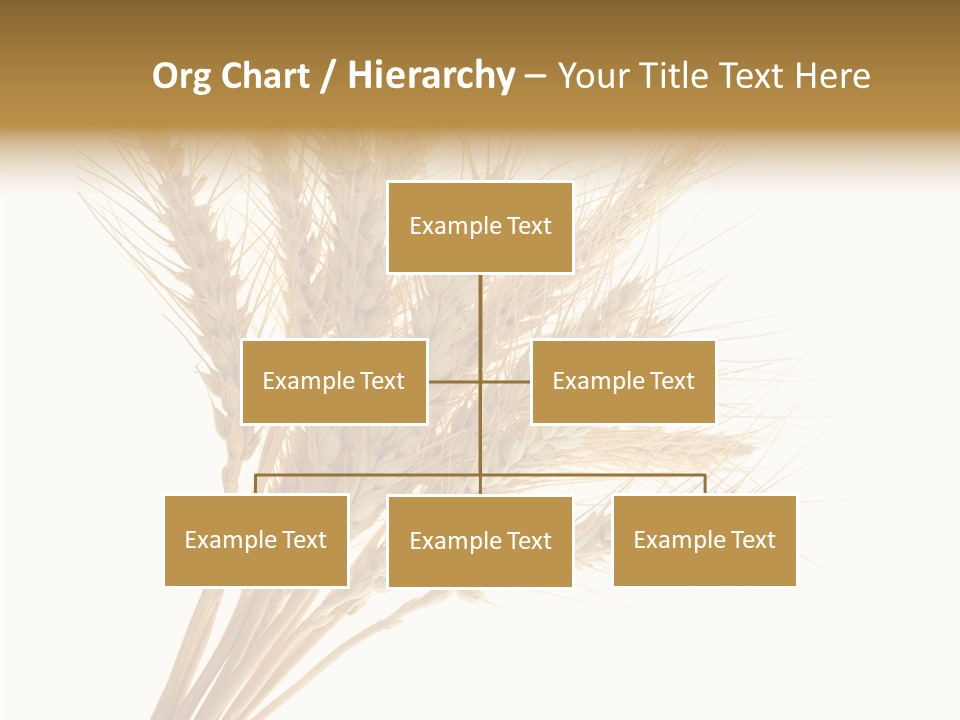 Summer Food Corn PowerPoint Template