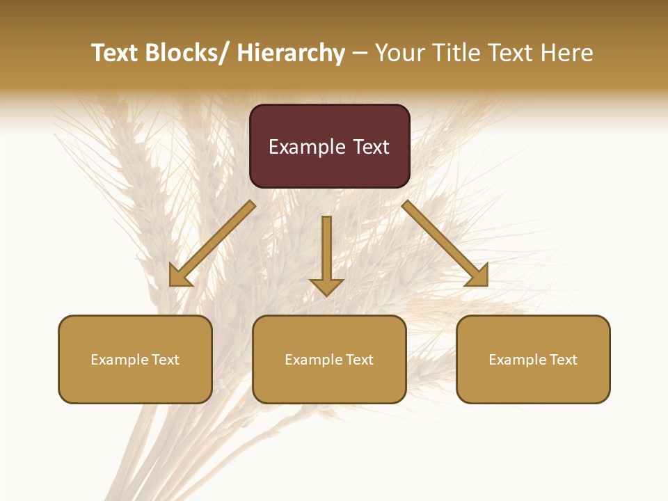 Summer Food Corn PowerPoint Template