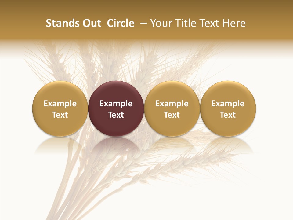 Summer Food Corn PowerPoint Template