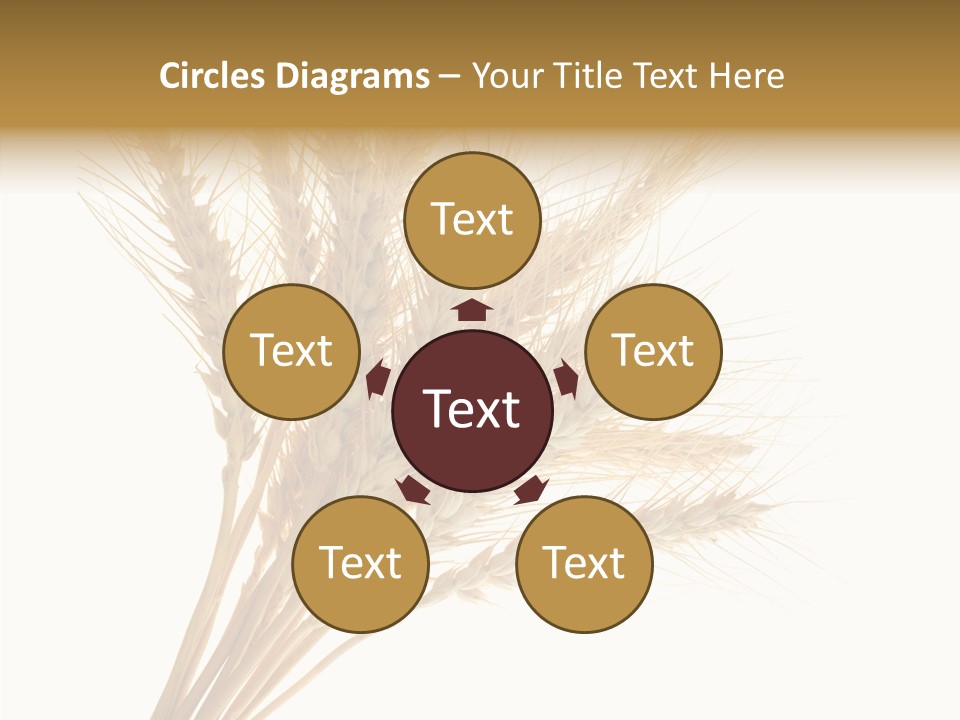 Summer Food Corn PowerPoint Template