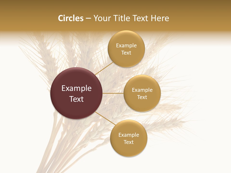 Summer Food Corn PowerPoint Template