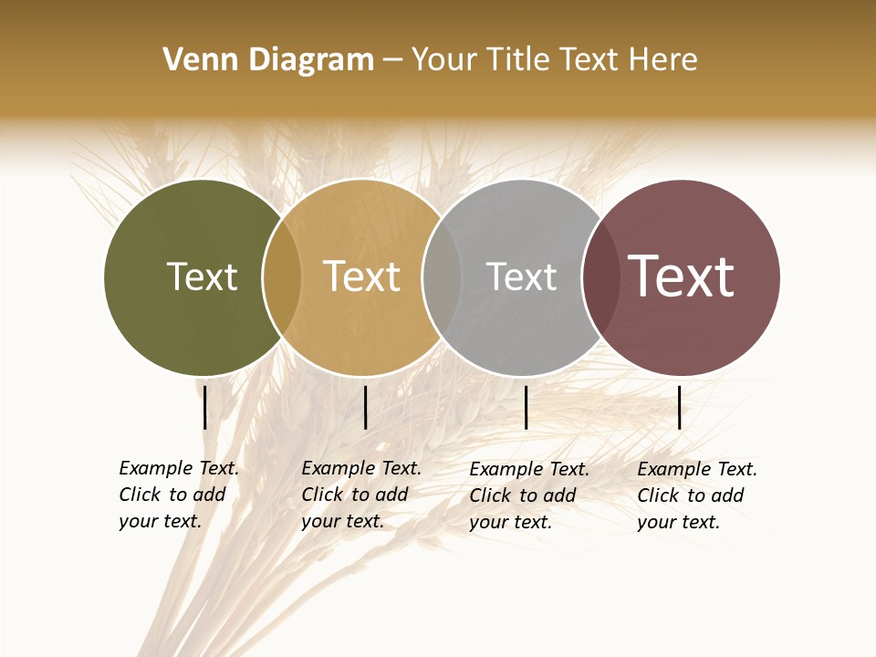 Summer Food Corn PowerPoint Template