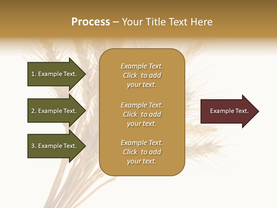 Summer Food Corn PowerPoint Template