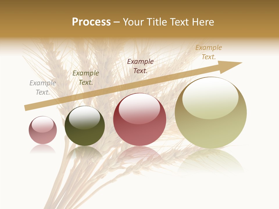 Summer Food Corn PowerPoint Template