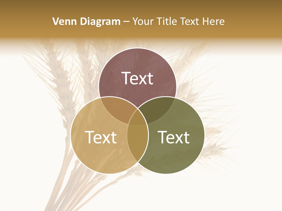 Summer Food Corn PowerPoint Template