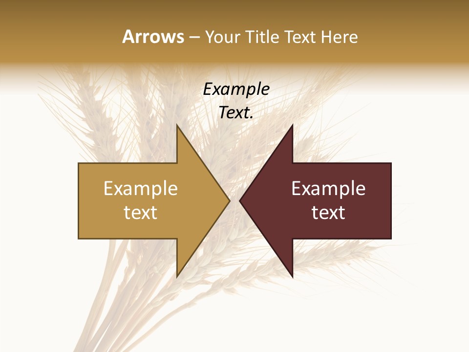 Summer Food Corn PowerPoint Template