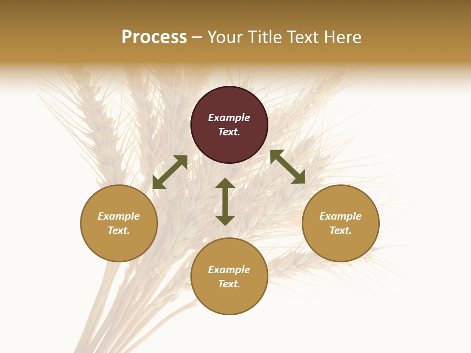 Summer Food Corn PowerPoint Template