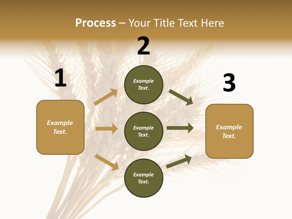 Summer Food Corn PowerPoint Template