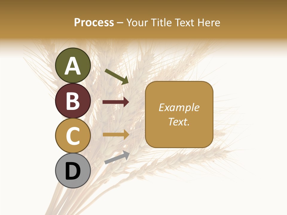 Summer Food Corn PowerPoint Template