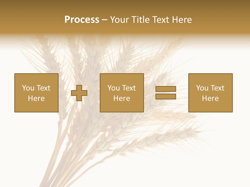 Summer Food Corn PowerPoint Template