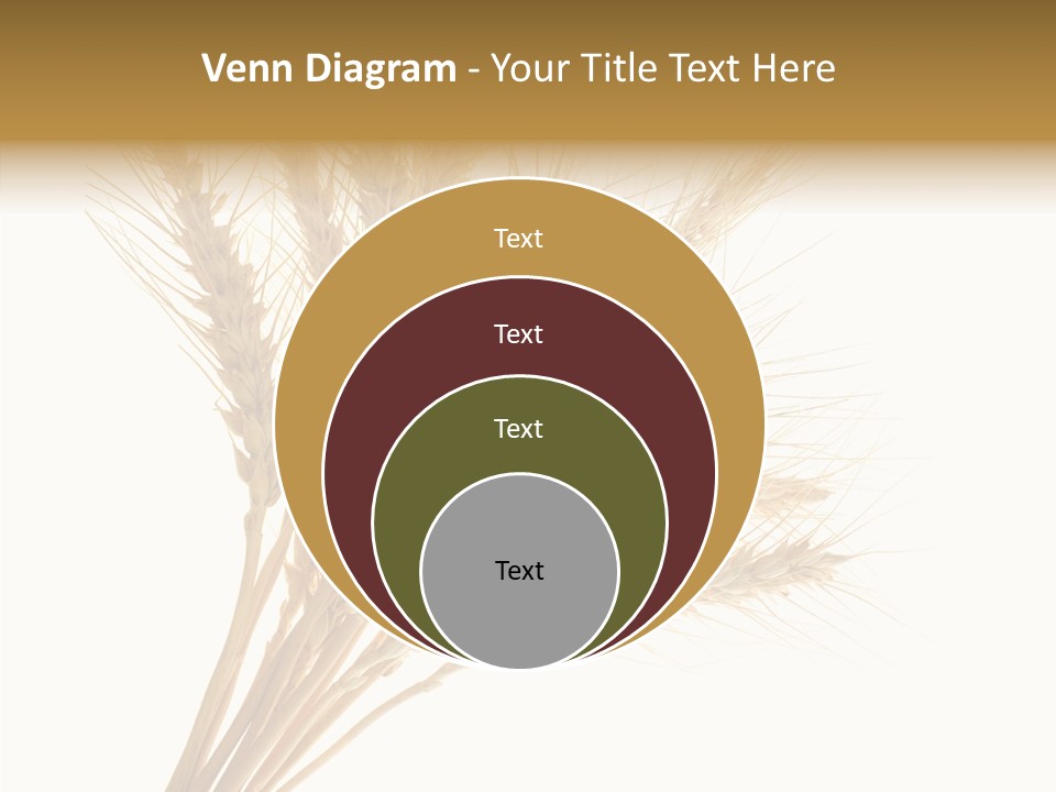 Summer Food Corn PowerPoint Template