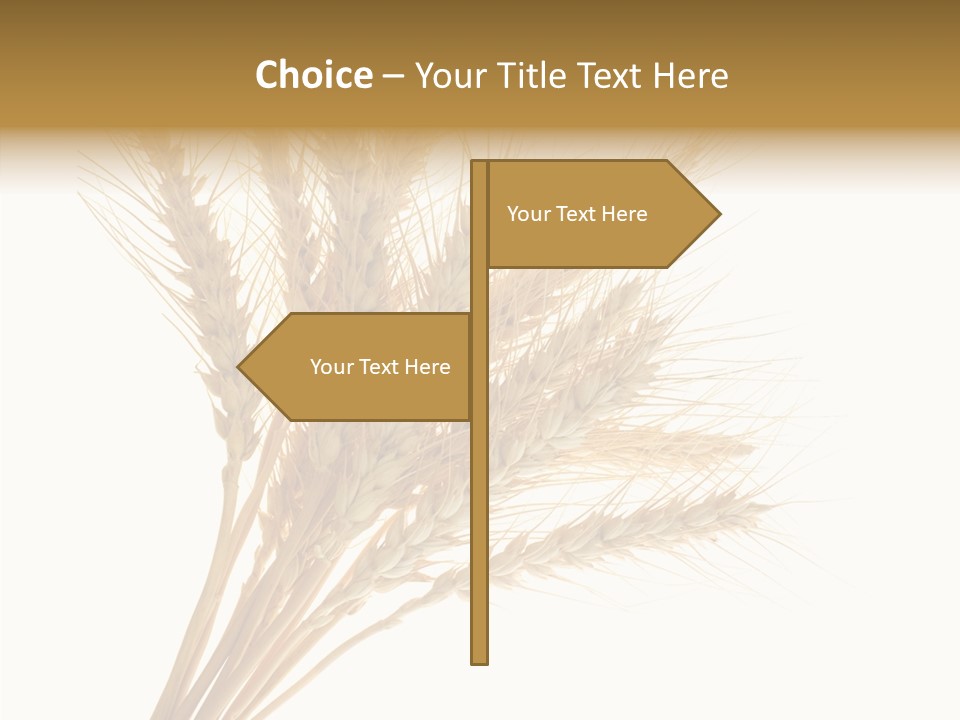 Summer Food Corn PowerPoint Template