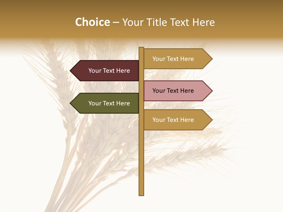 Summer Food Corn PowerPoint Template