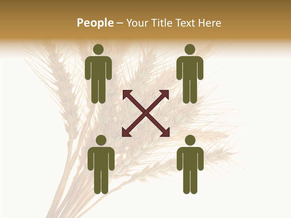 Summer Food Corn PowerPoint Template