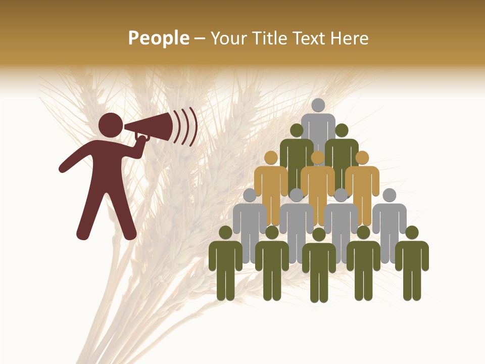 Summer Food Corn PowerPoint Template