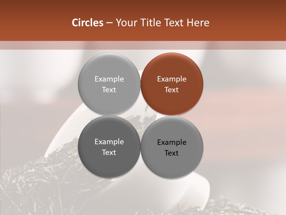 Healthy Closeup Decor PowerPoint Template