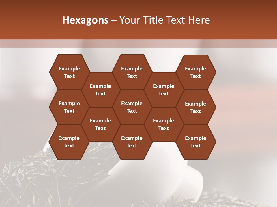 Healthy Closeup Decor PowerPoint Template