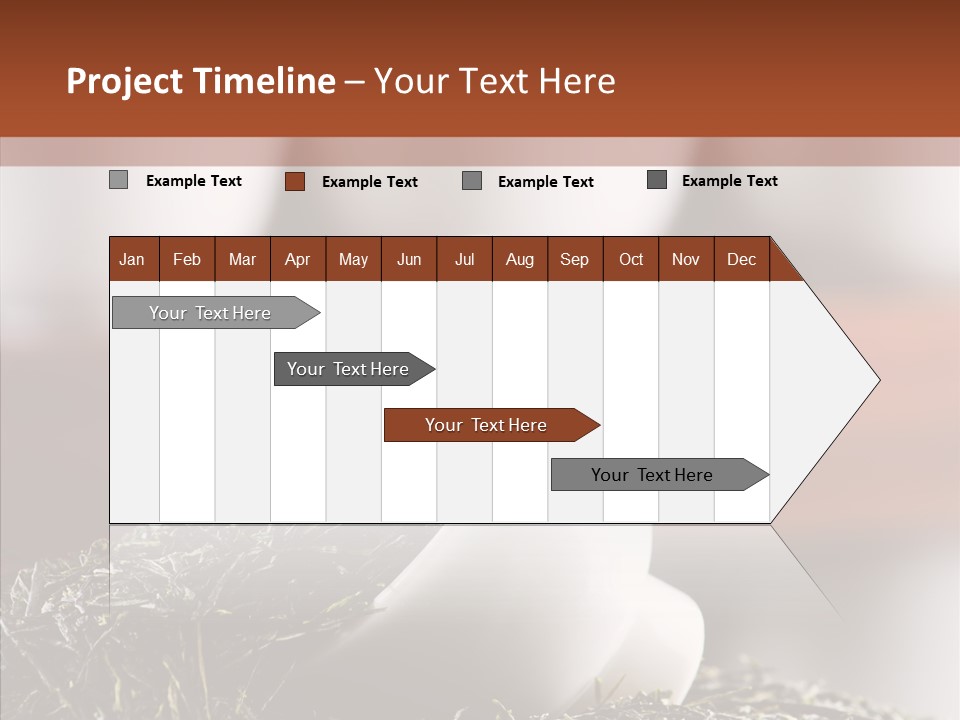 Healthy Closeup Decor PowerPoint Template