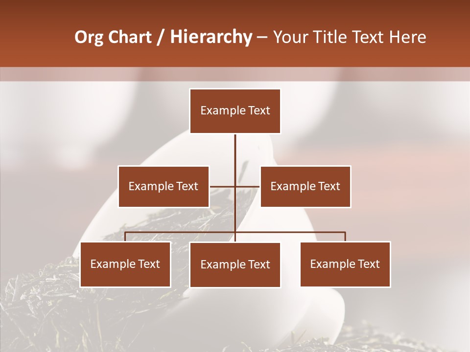 Healthy Closeup Decor PowerPoint Template