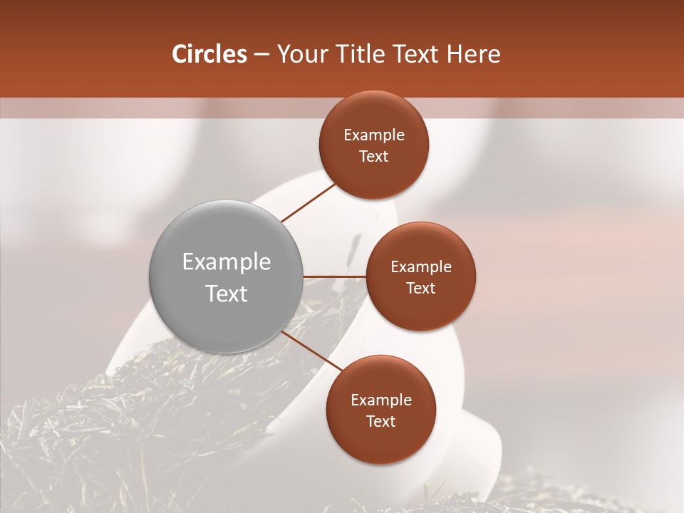 Healthy Closeup Decor PowerPoint Template