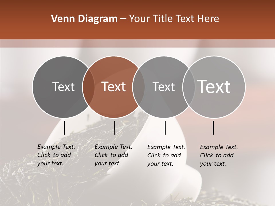 Healthy Closeup Decor PowerPoint Template