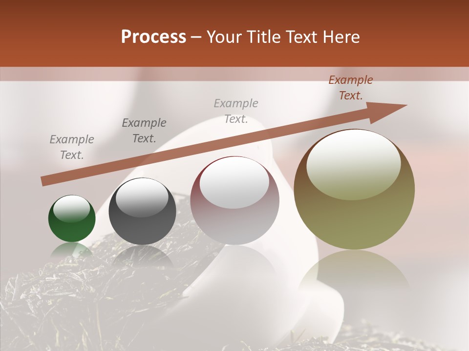 Healthy Closeup Decor PowerPoint Template