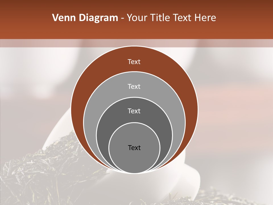 Healthy Closeup Decor PowerPoint Template