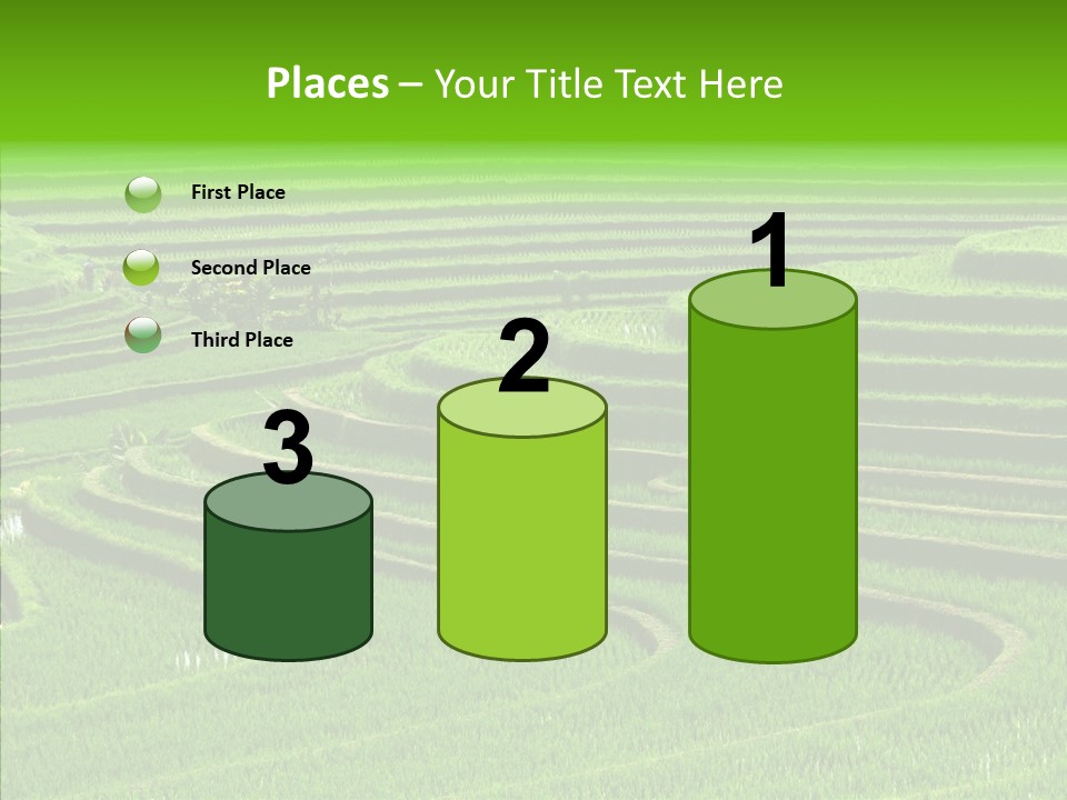 Travel Vacation Culture PowerPoint Template