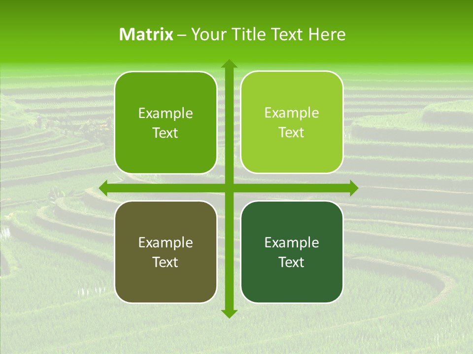 Travel Vacation Culture PowerPoint Template