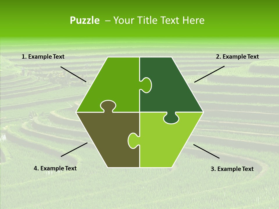 Travel Vacation Culture PowerPoint Template