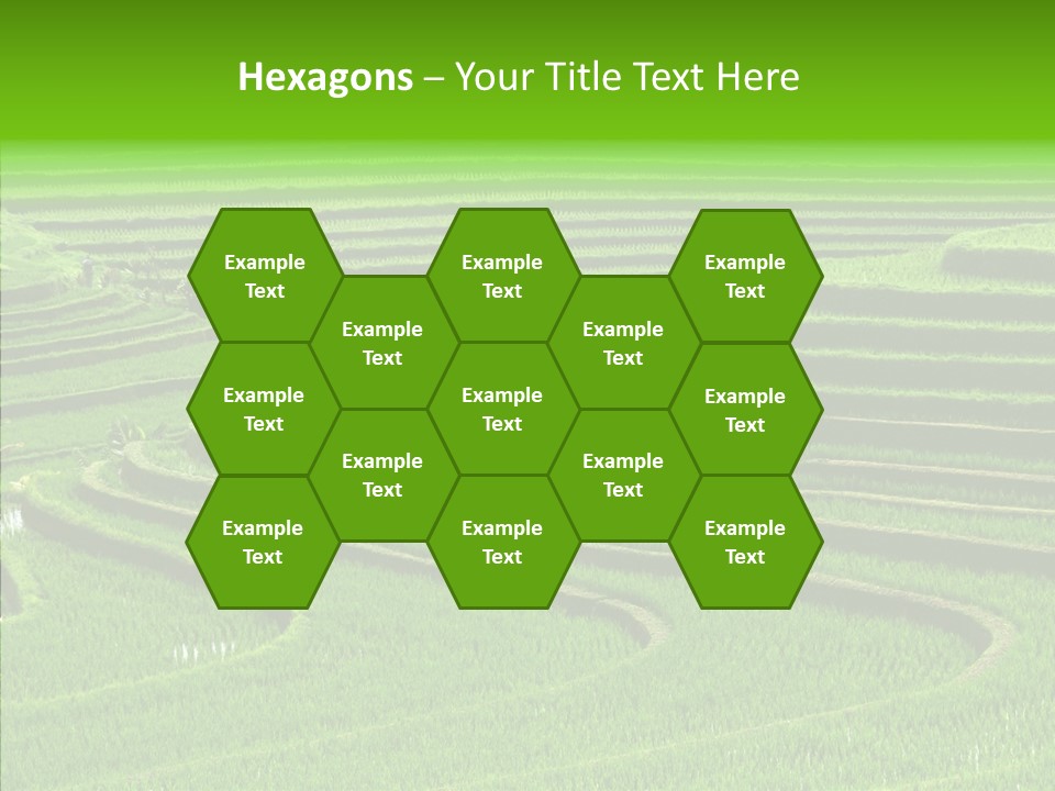 Travel Vacation Culture PowerPoint Template