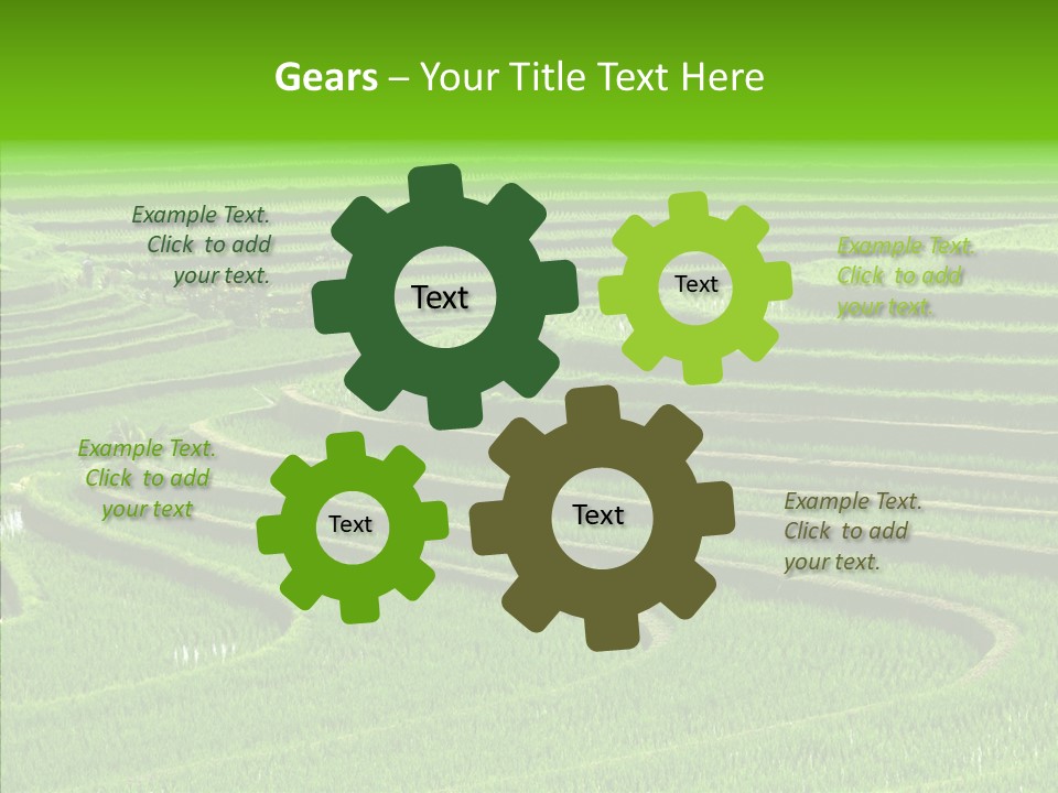 Travel Vacation Culture PowerPoint Template