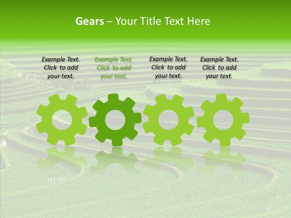 Travel Vacation Culture PowerPoint Template