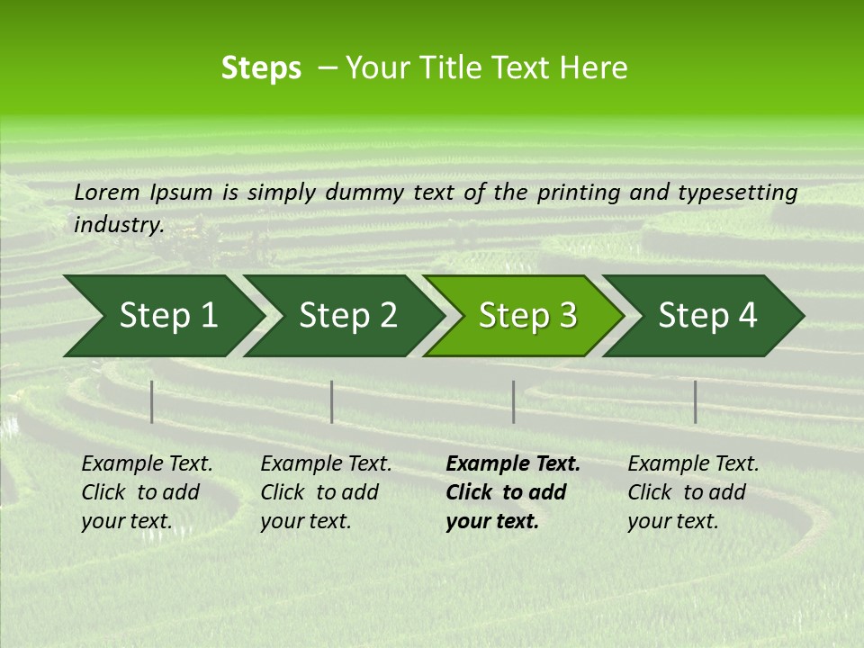 Travel Vacation Culture PowerPoint Template