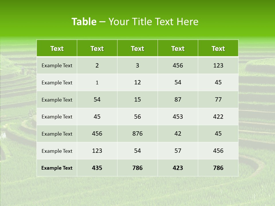 Travel Vacation Culture PowerPoint Template
