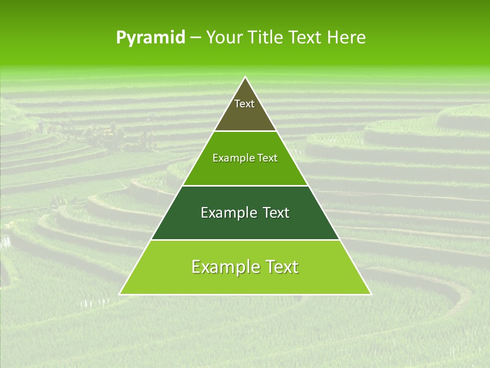 Travel Vacation Culture PowerPoint Template