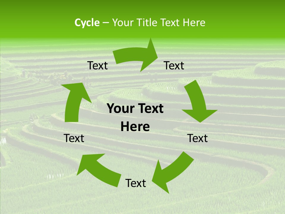 Travel Vacation Culture PowerPoint Template